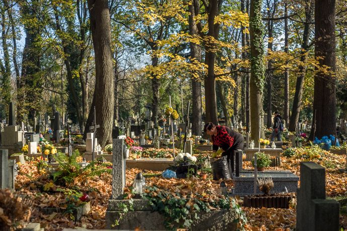 All Saints' Day at Rakowicki Cemetery in Kraków, Poland 2019. A woman cleans a grave, All Saints' Day in Poland. Image: Michel Meijer