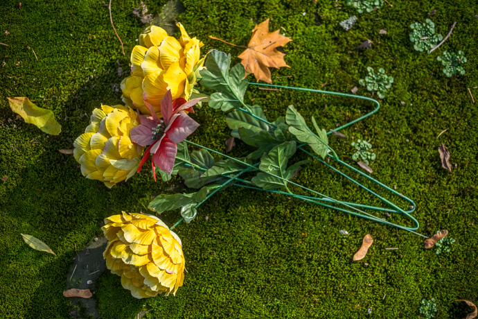 All Saints' Day at Rakowicki Cemetery in Kraków, Poland 2019. Artificial flowers lie in the moss that grows on a tombstone, All Saints' Day in Poland. Image: Michel Meijer