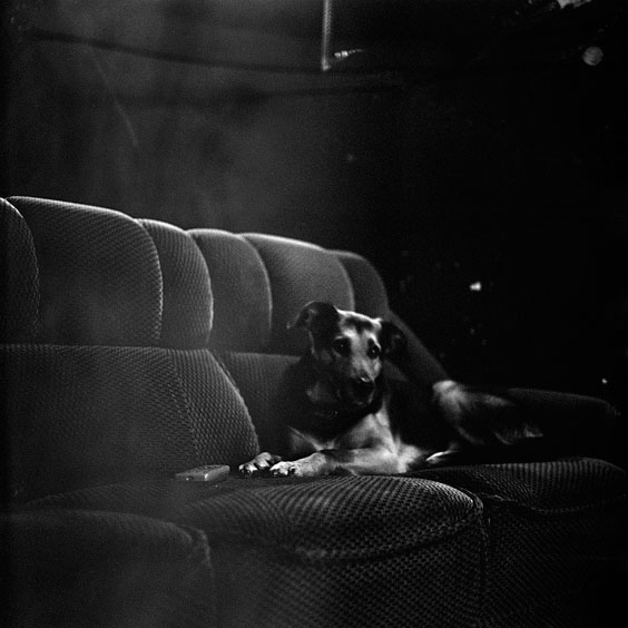 Friday, February 7, 2003. Durchsfenster - The February program 2003 The dog of one of the employees lies in a sofa in the projection room. Image: Michel Meijer