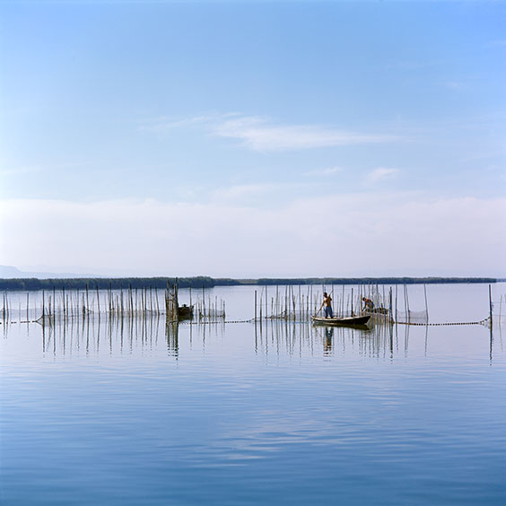 Rice cultivation in Albufera Natural Park, Spain 2014. The freshwater lake in Albufera Natural Park. Image: Michel Meijer