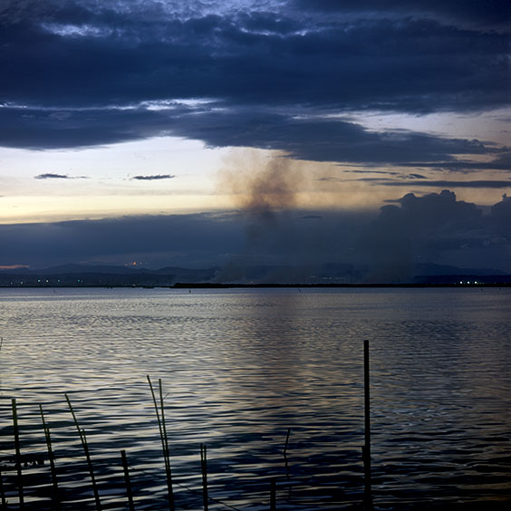 Rice cultivation in Albufera Natural Park, Spain 2014. Lake Albufera during dusk. Image: Michel Meijer