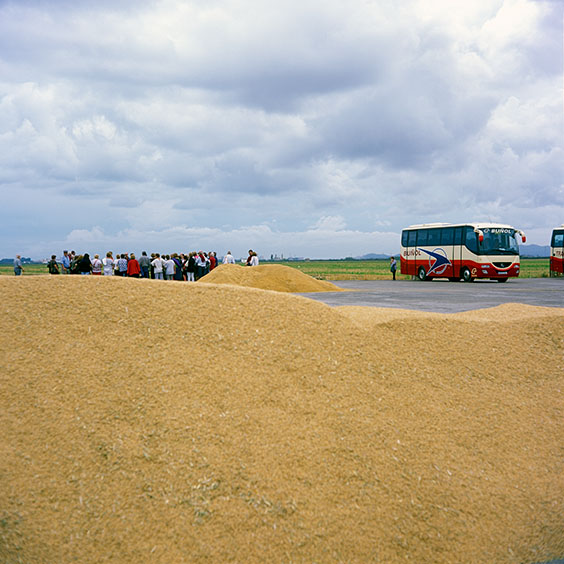 Rice cultivation in Albufera Natural Park, Spain 2015. A group of visitors are given a tour at Farm Estell. Image: Michel Meijer