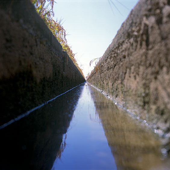 Rice cultivation in Albufera Natural Park, Spain 2015. An irrigation canal in Albufera Natural Park. Image: Michel Meijer