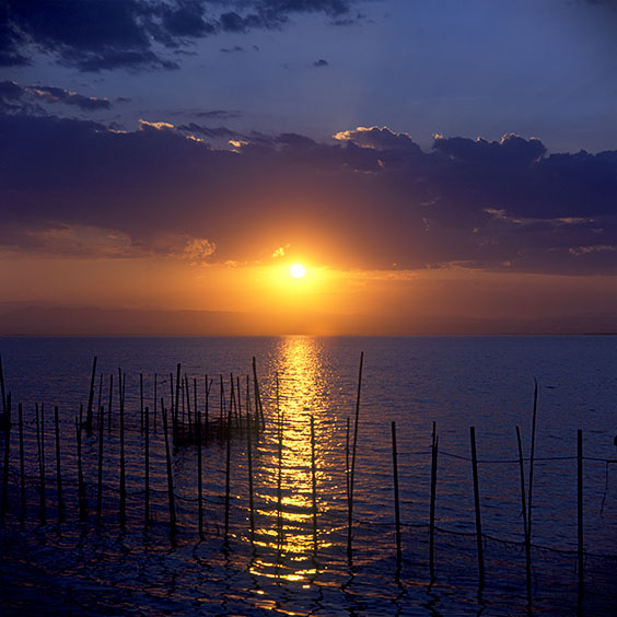 Rice cultivation in Albufera Natural Park, Spain 2015. Lake Albufera during sunset. Image: Michel Meijer