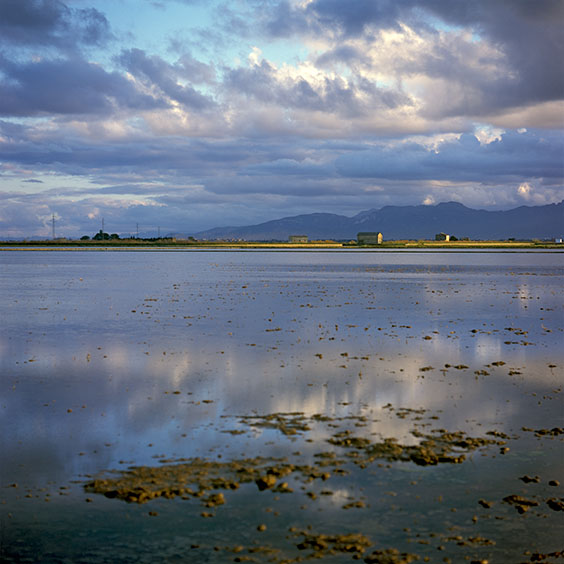 Rice cultivation in Albufera Natural Park, Spain 2022. A bare rice field in Albufera Natural Park during wintertime. Image: Michel Meijer