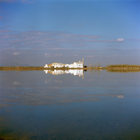 Rice cultivation in Albufera Natural Park, Spain 2022. A farm surrounded by flooded rice fields in Albufera Natural Park during wintertime. Image: Michel Meijer