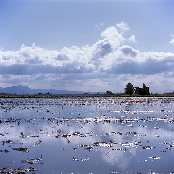 Rice cultivation in Albufera Natural Park, Spain 2022. Flooded rice field in wintertime. Image: Michel Meijer