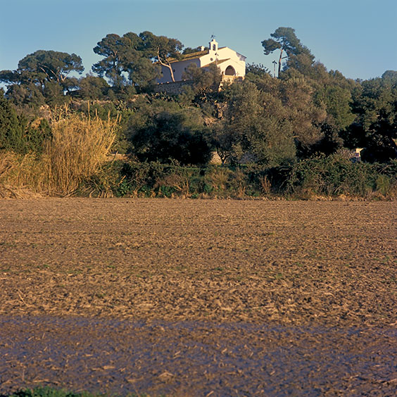 Rice cultivation in Albufera Natural Park, Spain 2022. La Muntanyeta del Sants in Albufera Natural Park. Image: Michel Meijer
