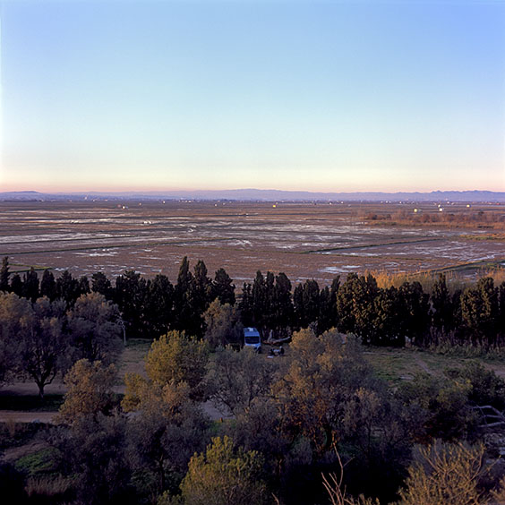 Rice cultivation in Albufera Natural Park, Spain 2022. View from the top of La Muntanyeta dels Sants. Image: Michel Meijer