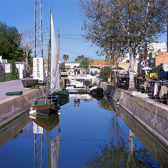 Rice cultivation in Albufera Natural Park, Spain 2022. The village of El Palmar. Image: Michel Meijer