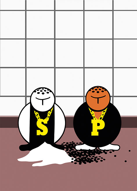 Monotoons als Salz- und Pfefferset. Illustration: Christian Aschberg.