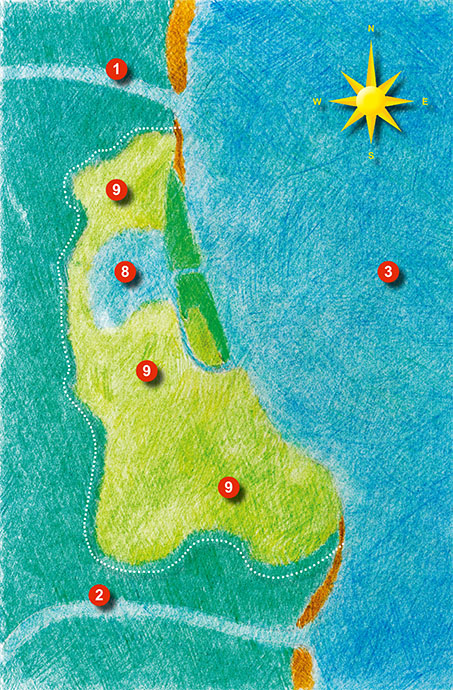 The formation of l'Albufera de Valencia. L'Albufera: 1900 - present. Image: Michel Meijer