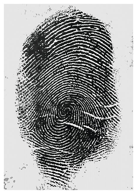 Wealth Fingerabdruck. Eine Arbeit von Radek Dabrowski.
