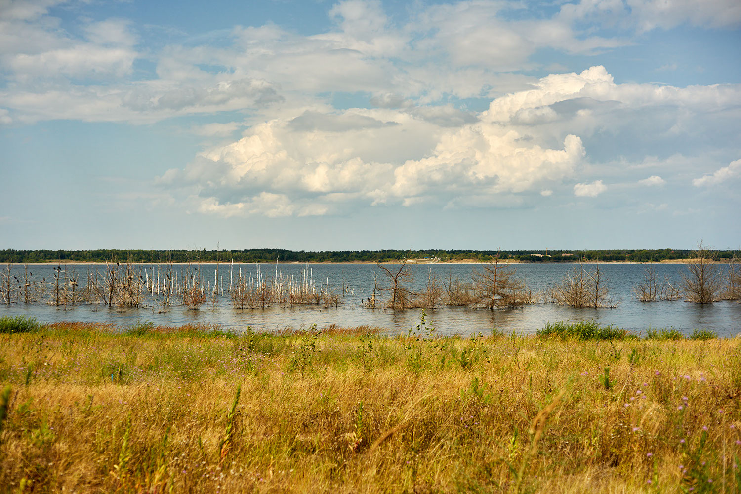 Frankfurter Allee at dusk in Berlin, Germany 2019 - image: Michel Meijer