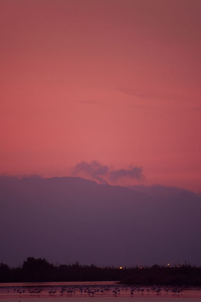 Frankfurter Allee in Berlin - image: Michel Meijer