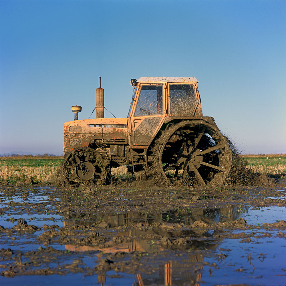 Albufera Natural Park, Spain 2022 - image: Michel Meijer