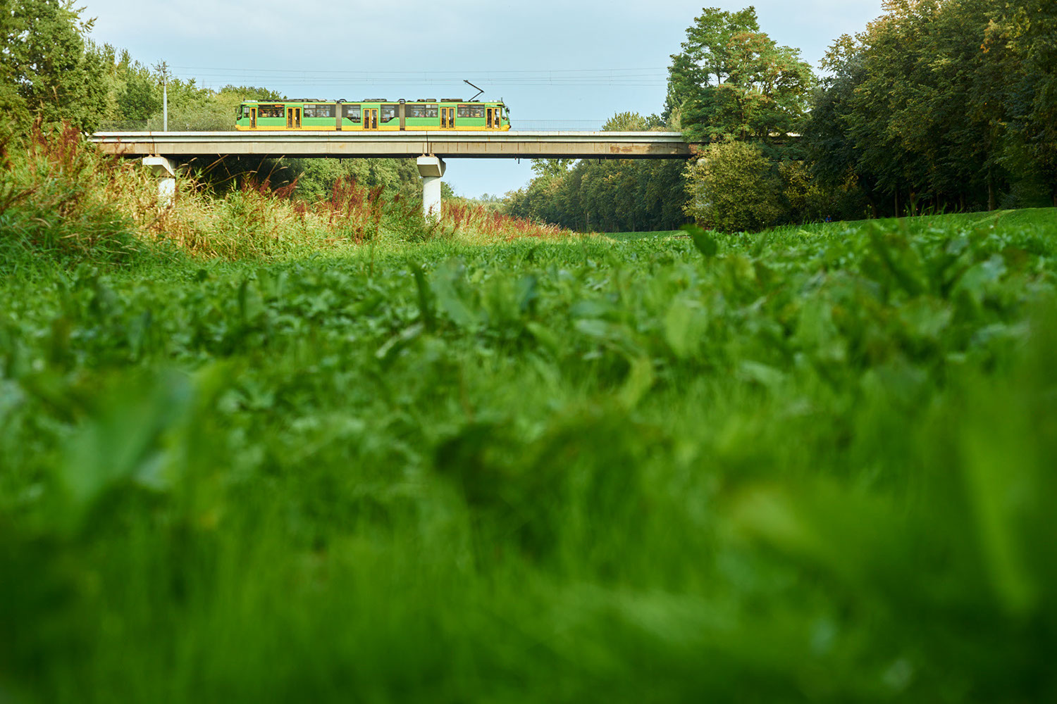 A tram rides over a bridge that runs over the Bogdonka River, Poznan, Poland 2019 - image: Michel Meijer