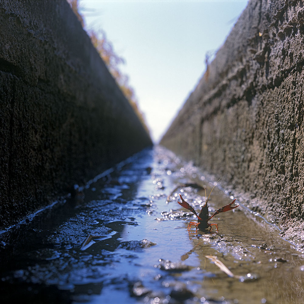 Frankfurter Allee at dusk in Berlin, Germany 2019 - image: Michel Meijer