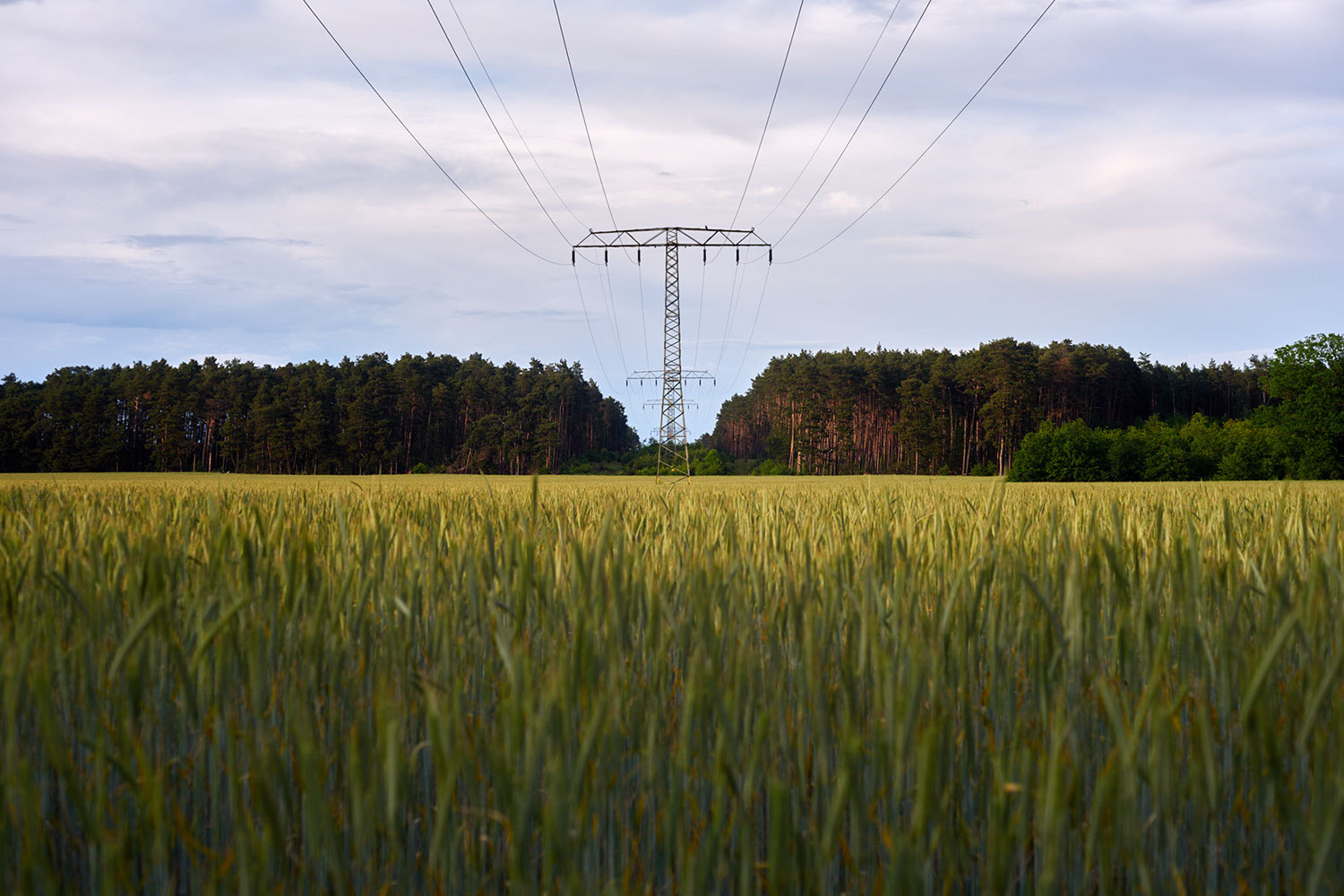 a. See in Deulowitz, Brandenburg, Germany 2024 - image: Michel Meijer