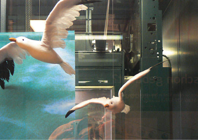 Plastikmöwen hängen in einem Personenaufzug. Eine Arbeit von Marcel Schock.